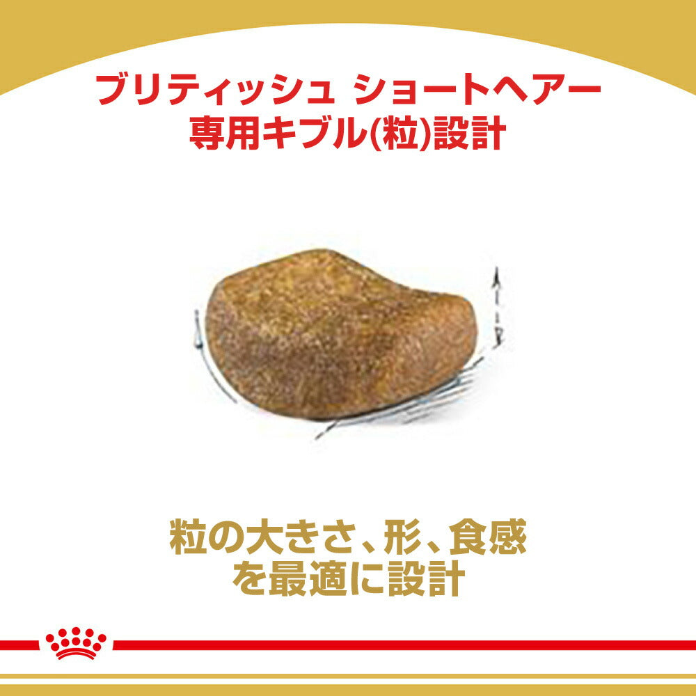 【400g×6袋】ロイヤルカナン FBN ブリティッシュ ショートヘアー 成猫用 生後12ヵ月齢から12歳まで (猫・キャット)[正規品]