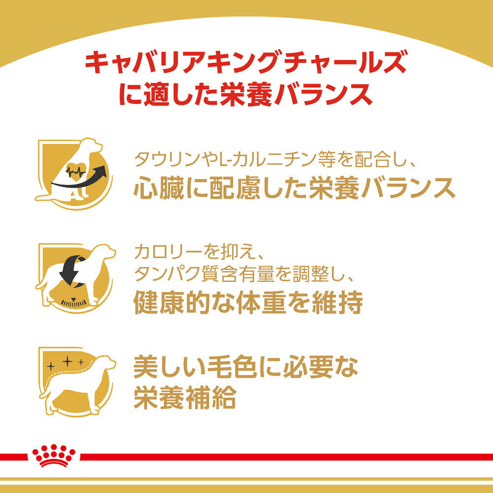【1.5kg×2袋】ロイヤルカナン BHN キャバリア キング チャールズ 成犬～高齢犬用 生後10ヵ月齢以上 (犬・ドッグ)[正規品]