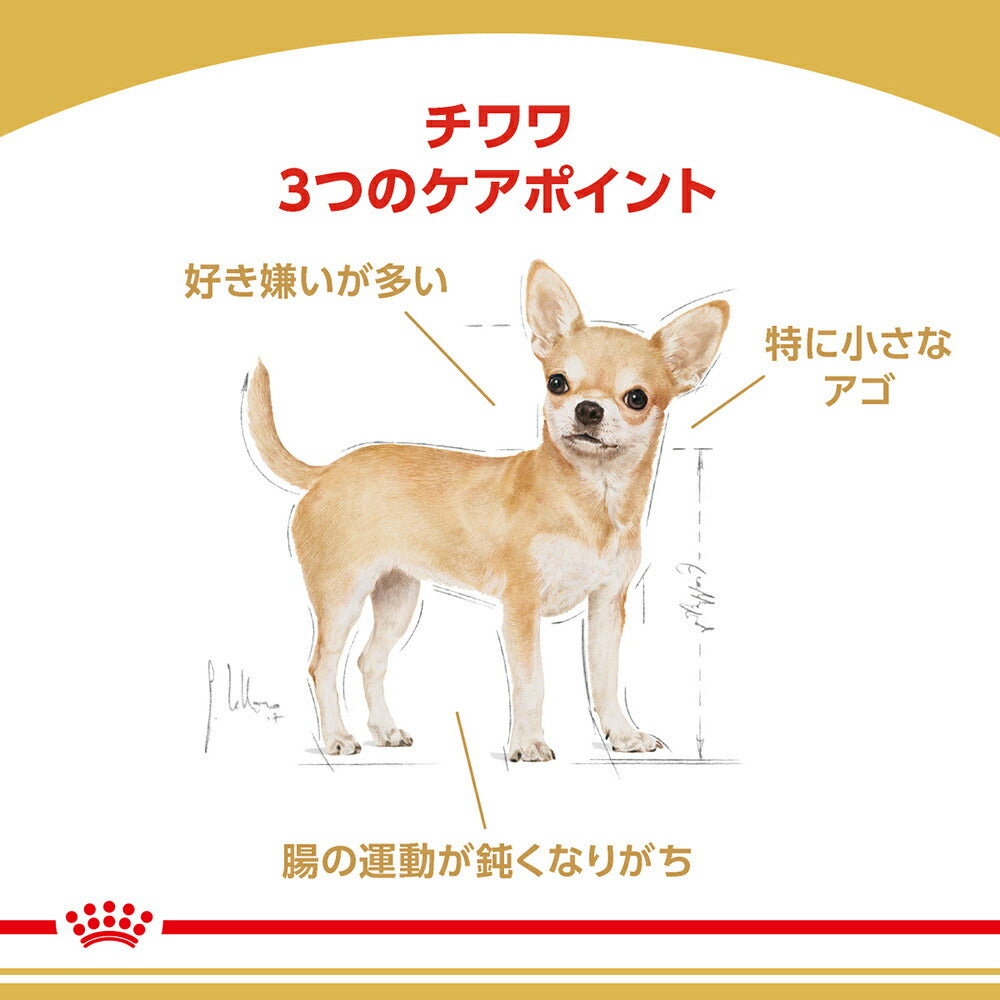 ロイヤルカナン BHN チワワ 中・高齢犬用 8歳以上 3kg (犬・ドッグ)[正規品]