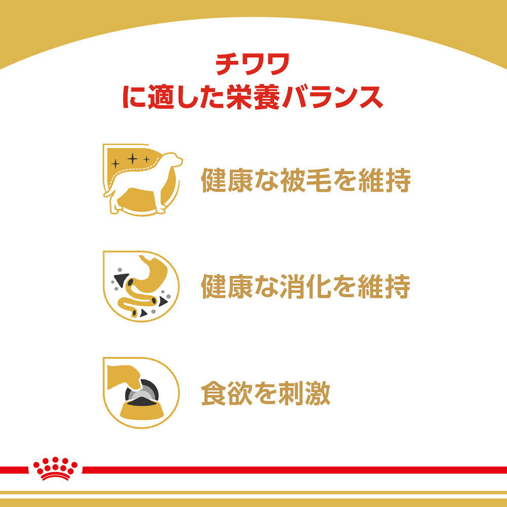 【85g×48袋】ロイヤルカナン BHN-WET チワワ 成犬～高齢犬用 生後8ヵ月齢以上 パウチ (犬・ドッグ)[正規品]