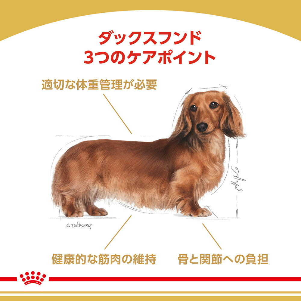 【1.5kg×6袋】ロイヤルカナン BHN ダックスフンド 中・高齢犬用 8歳以上 (犬・ドッグ)[正規品]
