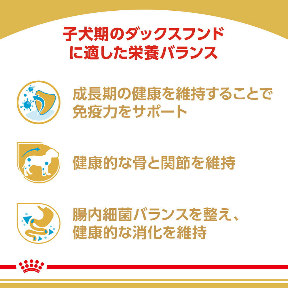 [賞味期限2027/1/1]ロイヤルカナン BHN ダックスフンド 子犬用 生後10ヵ月齢まで 800g (犬・ドッグ)[正規品]