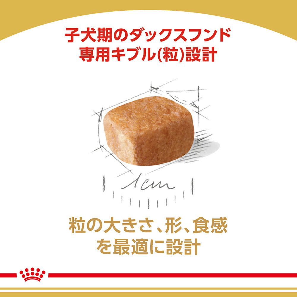 [賞味期限2027/1/1]ロイヤルカナン BHN ダックスフンド 子犬用 生後10ヵ月齢まで 800g (犬・ドッグ)[正規品]