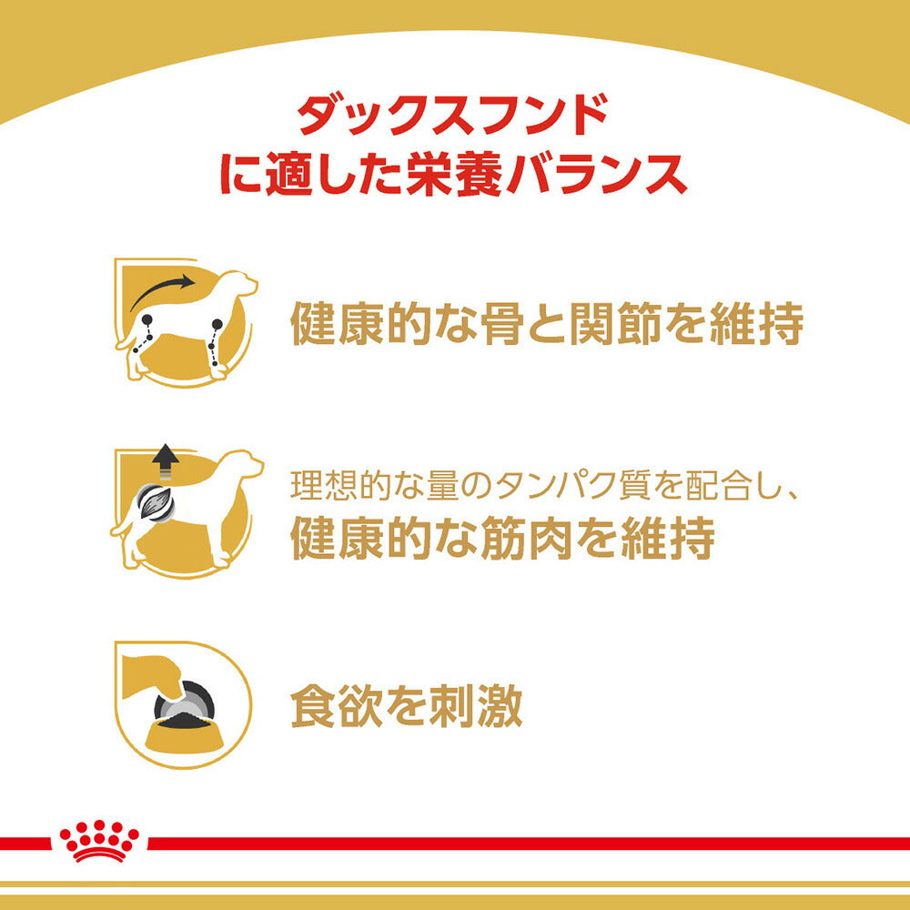 [賞味期限2027/2/7]【メール便】ロイヤルカナン ウェットフード ダックスフンド 成犬〜高齢犬用 85g (犬・ドッグ) [正規品][M便 1/9]