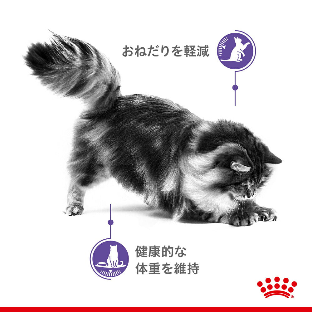 【400g×12袋】ロイヤルカナン FCN アペタイト コントロール おねだりの多い成猫用 生後12ヵ月齢以上 (猫・キャット)[正規品]