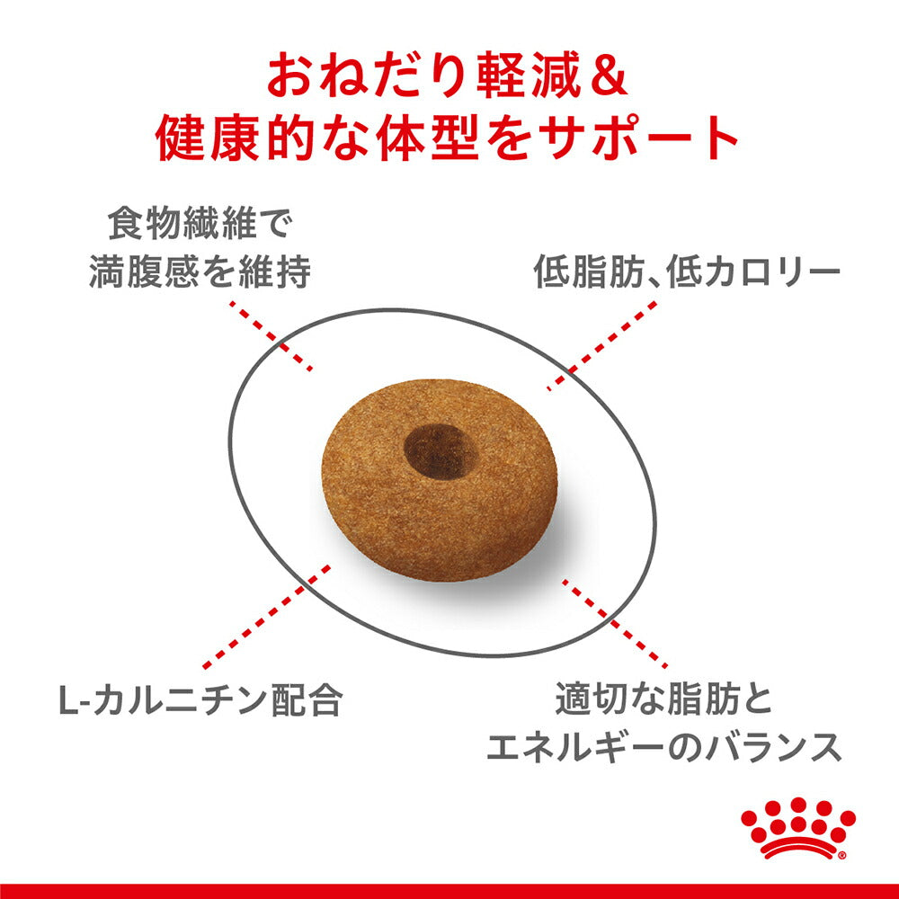 ロイヤルカナン FCN アペタイト コントロール おねだりの多い成猫用 生後12ヵ月齢以上 400g (猫・キャット)[正規品]