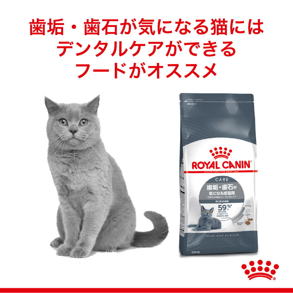 ロイヤルカナン FCN デンタル ケア 歯垢・歯石が気になる成猫用 生後12ヵ月齢以上 400g (猫・キャット)[正規品]
