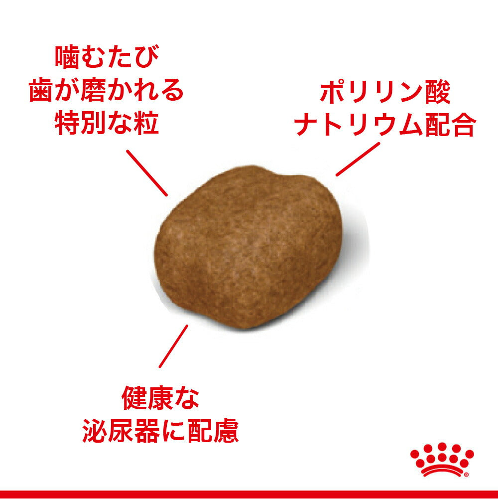 【1.5kg×4袋】ロイヤルカナン FCN デンタル ケア 歯垢・歯石が気になる成猫用 生後12ヵ月齢以上 (猫・キャット)[正規品]