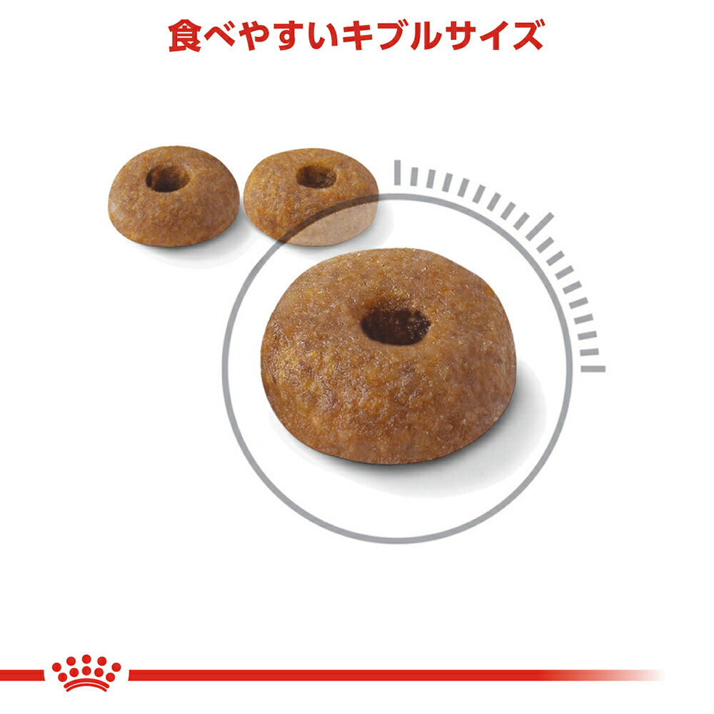 【400g×3袋】ロイヤルカナン FCN ダイジェスティブ ケア 健康なおなか・便を維持したい成猫用 生後12ヵ月齢以上 (猫・キャット)[正規品]