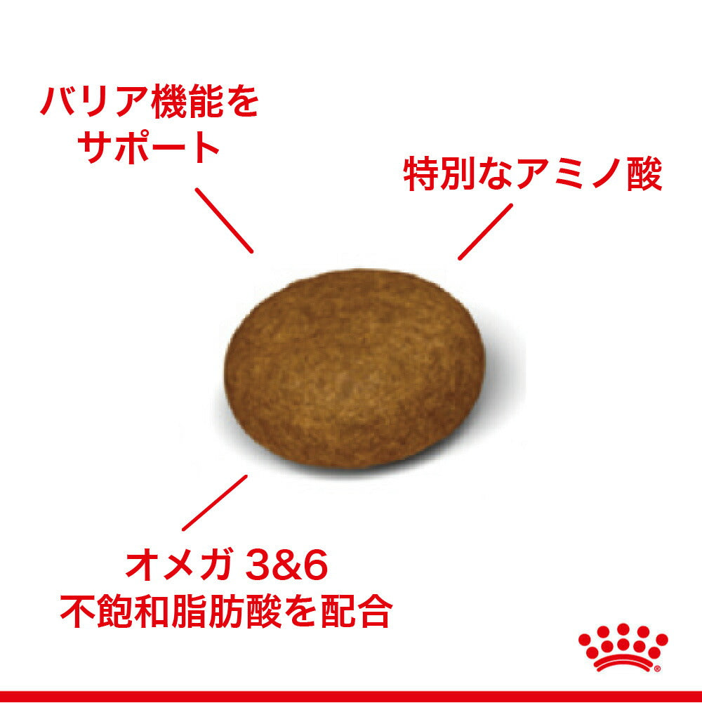 ロイヤルカナン FCN ヘアー&スキン ケア 皮膚・被毛の健康を維持したい成猫用 生後12ヵ月齢以上 400g (猫・キャット)[正規品]