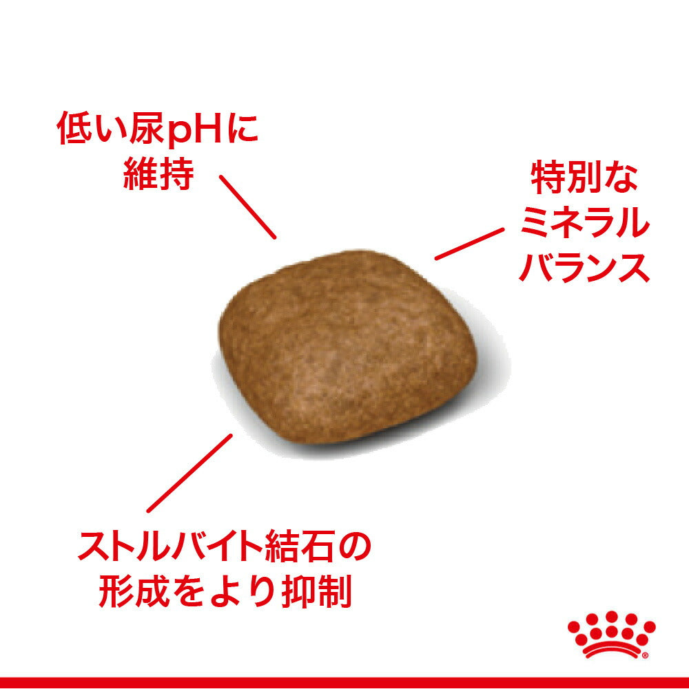 【2kg×6袋】ロイヤルカナン FCN ユリナリー ケア 健康な尿を維持したい成猫用 生後12ヵ月齢以上 (猫・キャット)[正規品]