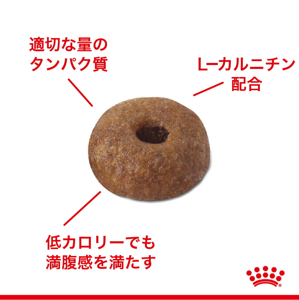 【3kg×2袋】ロイヤルカナン FCN ライト ウェイト ケア 減量したい成猫用 生後12ヵ月齢以上 (猫・キャット)[正規品]