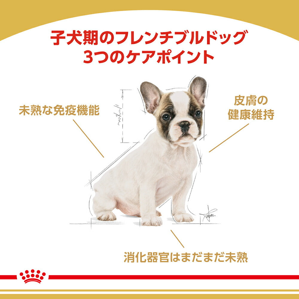 【3kg×2袋】ロイヤルカナン BHN フレンチブルドッグ 子犬用 生後12ヵ月齢まで (犬・ドッグ)[正規品]