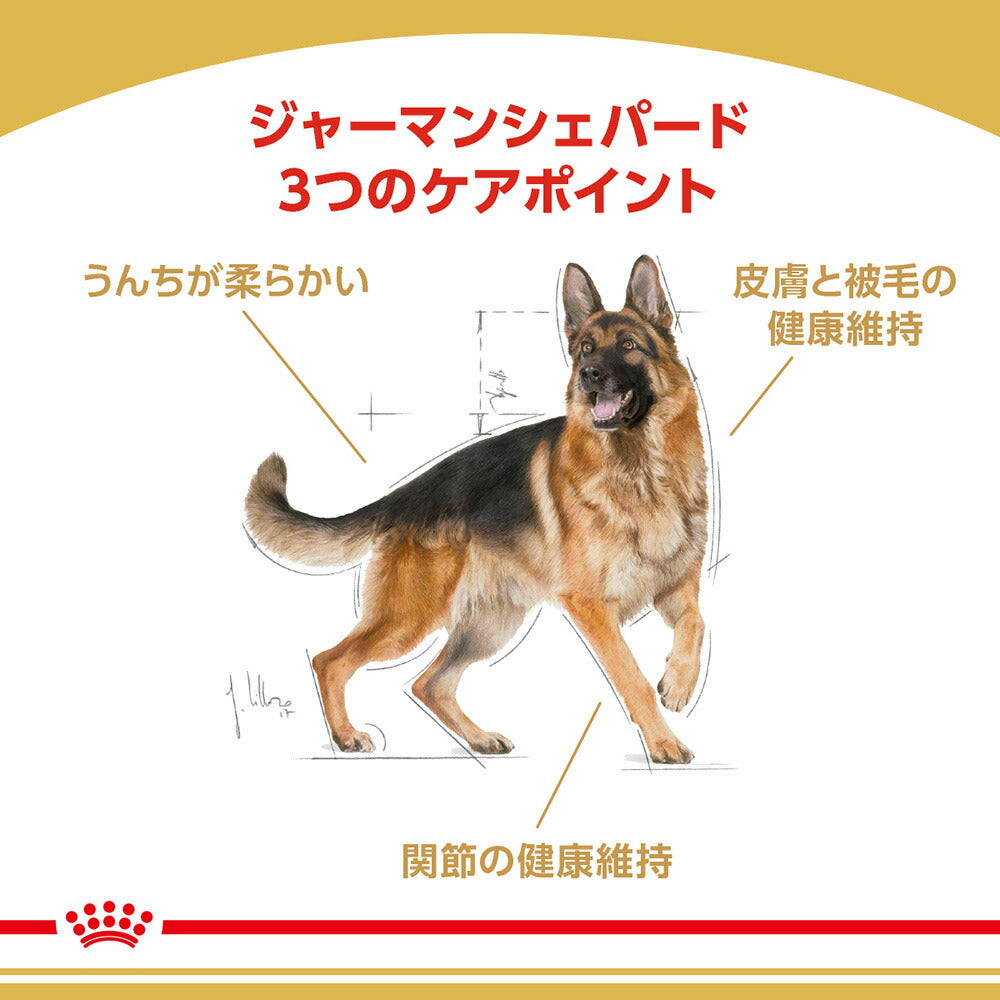 ロイヤルカナン BHN ジャーマンシェパード 成犬～高齢犬用 生後15ヵ月齢以上 3kg (犬・ドッグ)[正規品]
