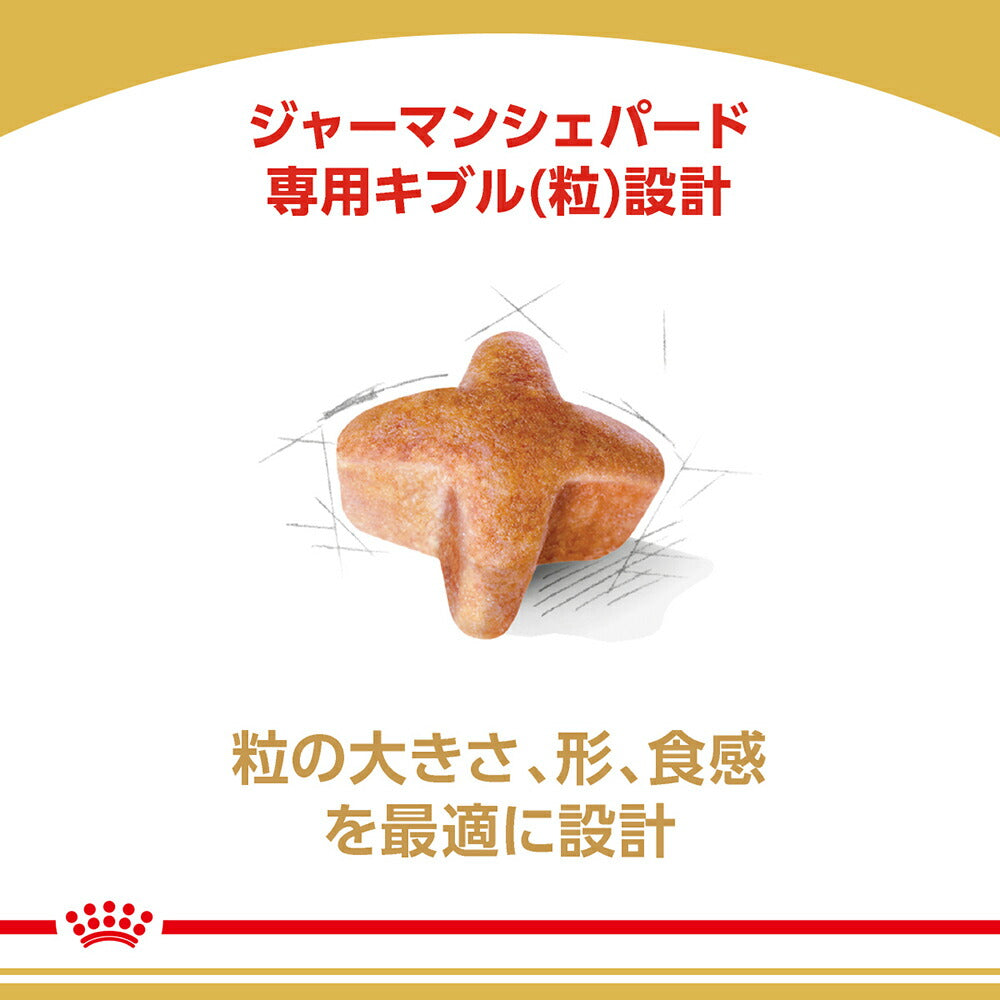 【3kg×2袋】ロイヤルカナン BHN ジャーマンシェパード 成犬～高齢犬用 生後15ヵ月齢以上 (犬・ドッグ)[正規品]