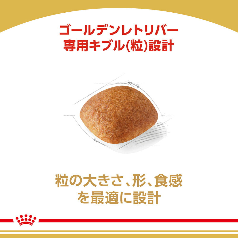 【12kg×2袋】ロイヤルカナン BHN ゴールデンレトリバー 成犬～高齢犬用 生後15ヵ月齢以上 (犬・ドッグ)[正規品]