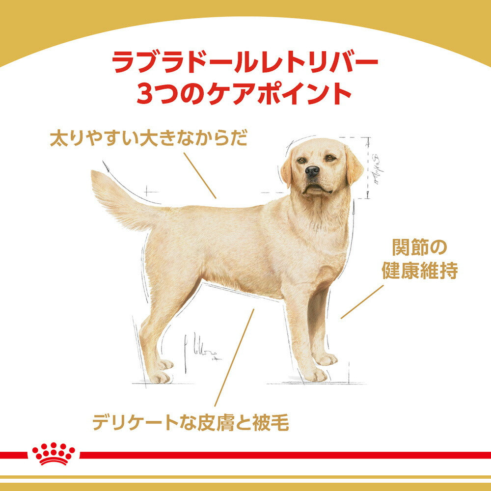 【3kg×2袋】ロイヤルカナン BHN ラブラドールレトリバー 成犬～高齢犬用 生後15ヵ月齢以上 (犬・ドッグ)[正規品]