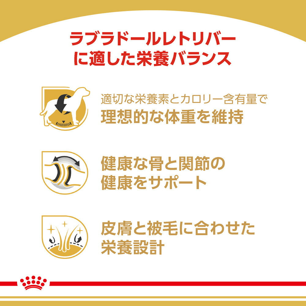【3kg×2袋】ロイヤルカナン BHN ラブラドールレトリバー 成犬～高齢犬用 生後15ヵ月齢以上 (犬・ドッグ)[正規品]