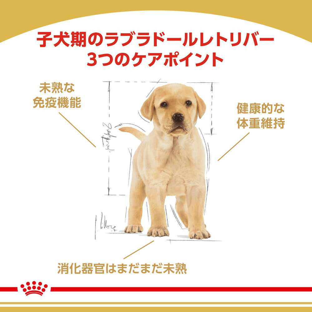 【3kg×4袋】ロイヤルカナン BHN ラブラドールレトリバー 子犬用 生後15ヵ月齢まで (犬・ドッグ)[正規品]