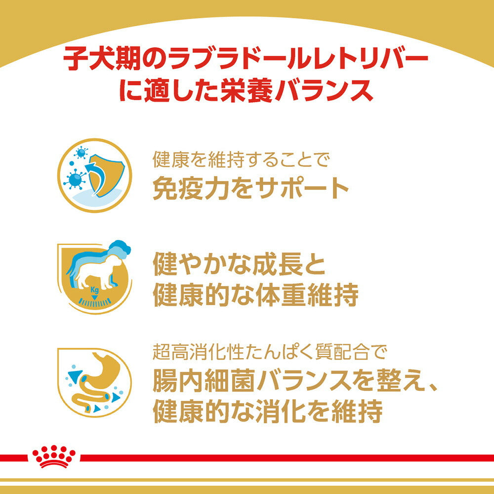 ロイヤルカナン BHN ラブラドールレトリバー 子犬用 生後15ヵ月齢まで 12kg (犬・ドッグ)[正規品]