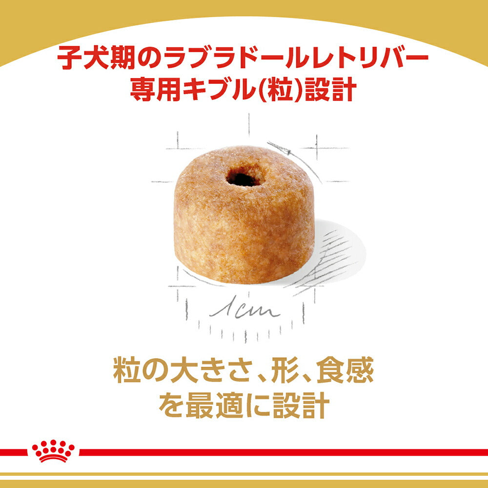【12kg×2袋】ロイヤルカナン BHN ラブラドールレトリバー 子犬用 生後15ヵ月齢まで (犬・ドッグ)[正規品]