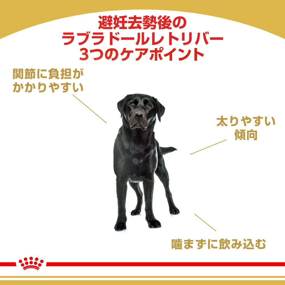 ロイヤルカナン BHN ラブラドールレトリバー ステアライズド 避妊・去勢 成犬～高齢犬用 生後15ヵ月齢以上 12kg (犬・ドッグ)[正規品]