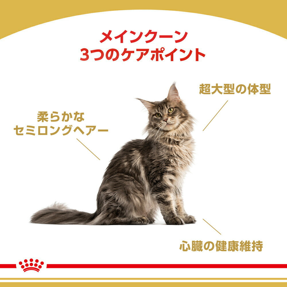 ロイヤルカナン FBN メインクーン 成猫用 生後15ヵ月齢から12歳まで 2kg (猫・キャット)[正規品]