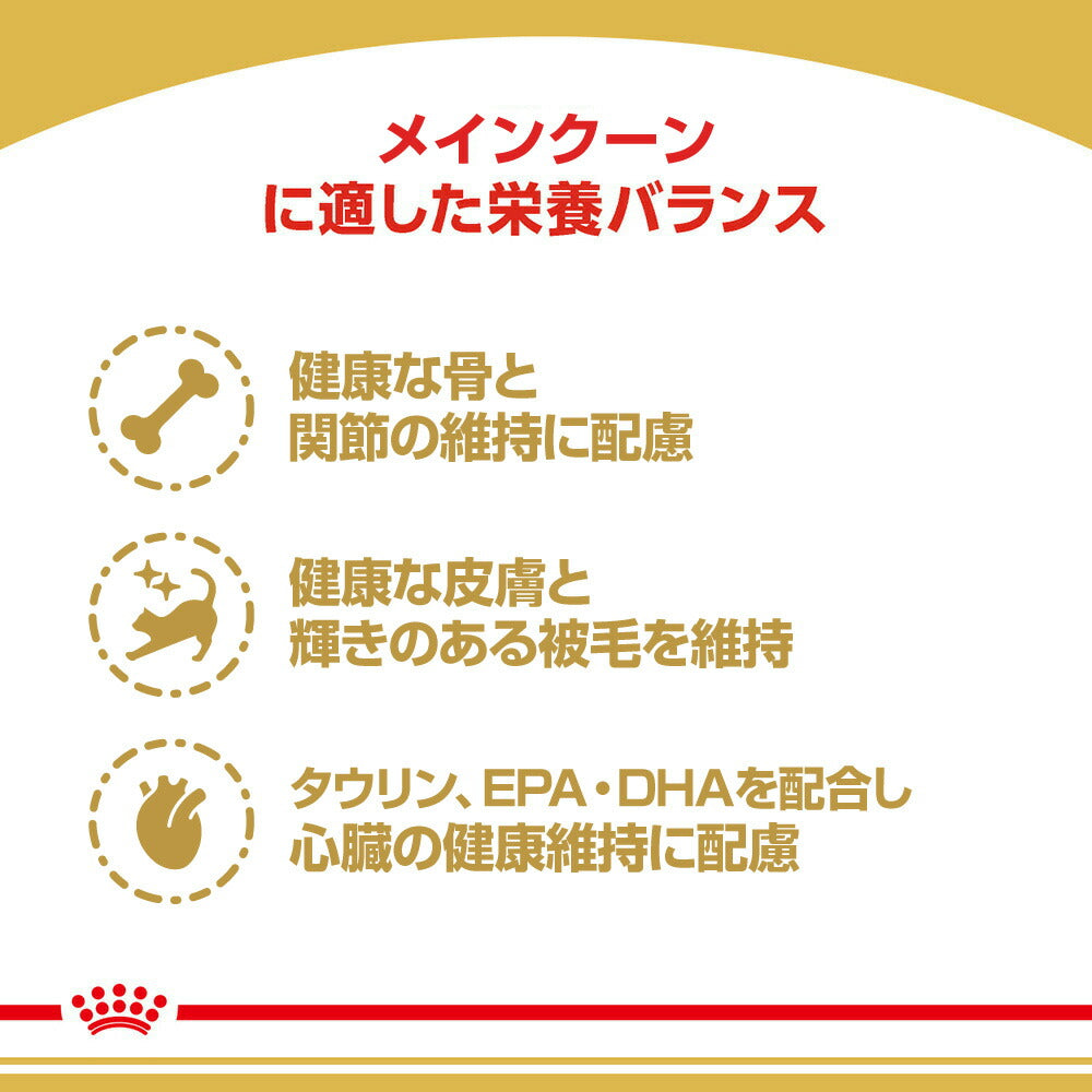 【2kg×5袋】ロイヤルカナン FBN メインクーン 成猫用 生後15ヵ月齢から12歳まで (猫・キャット)[正規品]