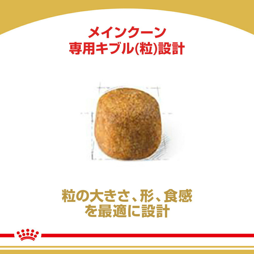 【2kg×4袋】ロイヤルカナン FBN メインクーン 成猫用 生後15ヵ月齢から12歳まで (猫・キャット)[正規品]