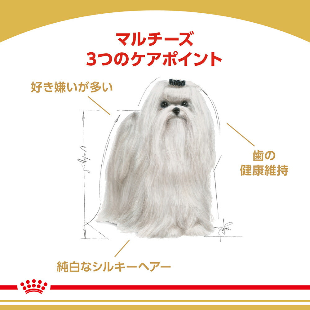 【1.5kg×2袋】ロイヤルカナン BHN マルチーズ 成犬～高齢犬用 生後10ヵ月齢以上(犬・ドッグ)[正規品]
