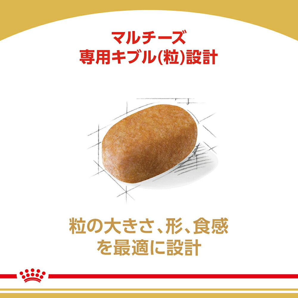 【1.5kg×3袋】ロイヤルカナン BHN マルチーズ 成犬～高齢犬用 生後10ヵ月齢以上(犬・ドッグ)[正規品]