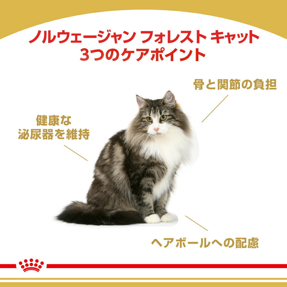 【2kg×6袋】ロイヤルカナン FBN ノルウェージャン フォレスト キャット 成猫用 生後12ヵ月齢から12歳まで (猫・キャット)[正規品]