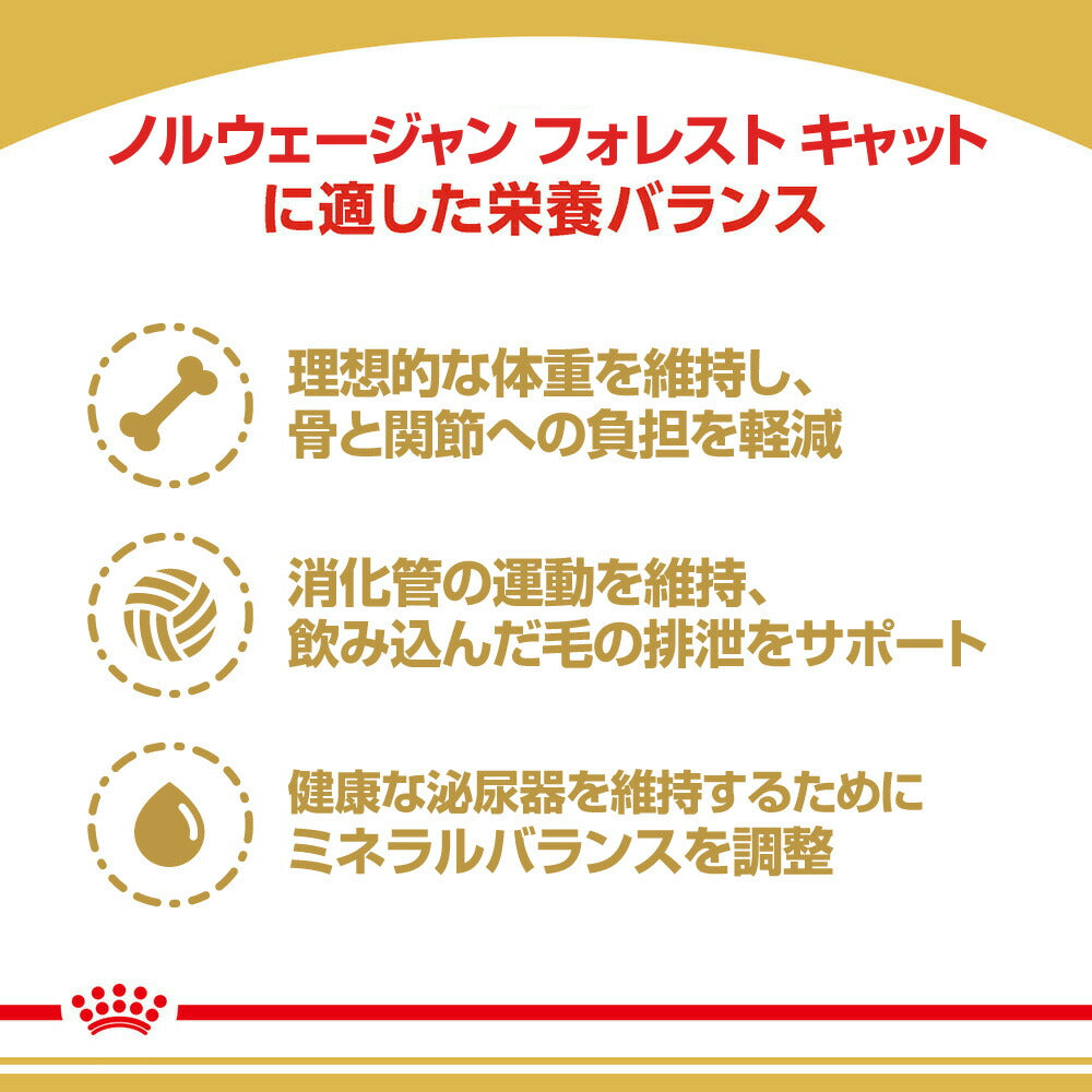 【400g×12袋】ロイヤルカナン FBN ノルウェージャン フォレスト キャット 成猫用 生後12ヵ月齢から12歳まで (猫・キャット)[正規品]