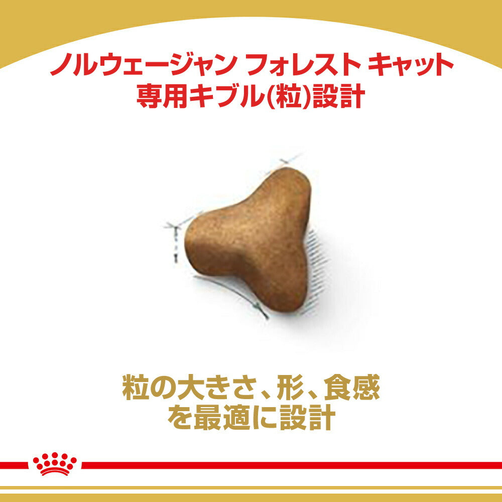 ロイヤルカナン FBN ノルウェージャン フォレスト キャット 成猫用 生後12ヵ月齢から12歳まで 400g (猫・キャット)[正規品]