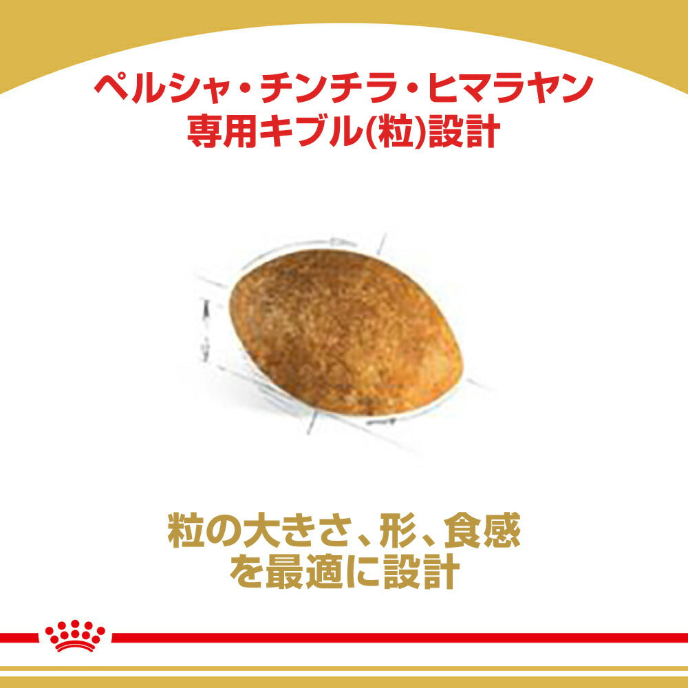 【2kg×4袋】ロイヤルカナン FBN ペルシャ・チンチラ・ヒマラヤン 成猫用 生後12ヵ月齢から12歳まで (猫・キャット)[正規品]