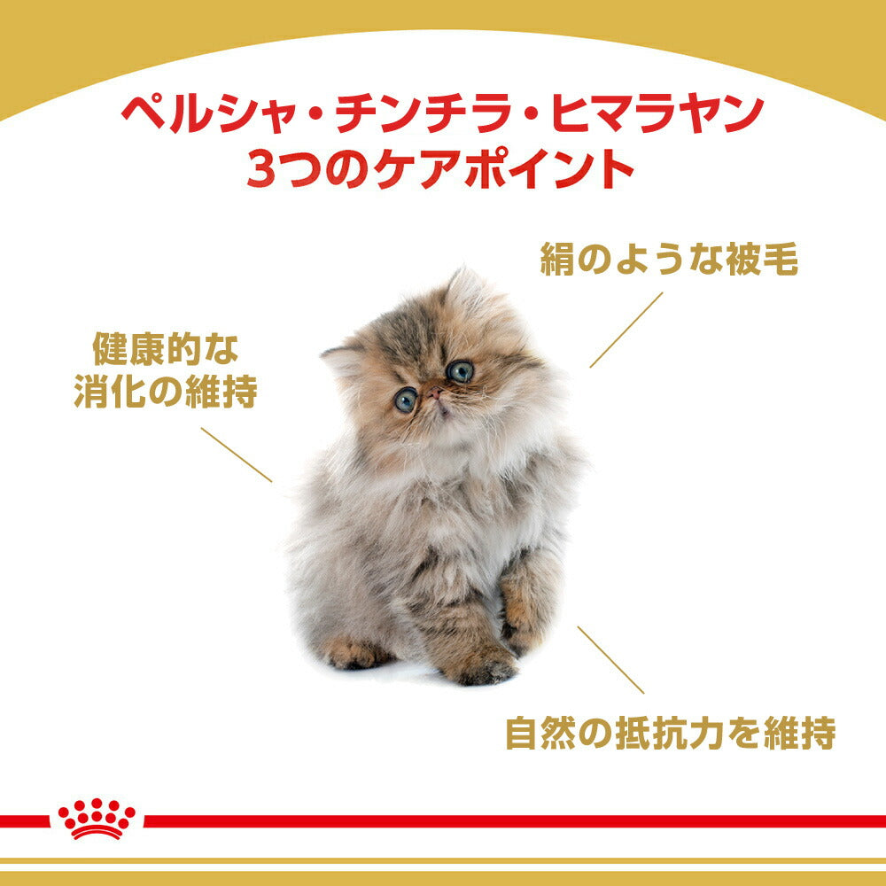ロイヤルカナン FBN ペルシャ・チンチラ・ヒマラヤン 子猫用 生後12ヵ月齢まで 2kg (猫・キャット)[正規品]