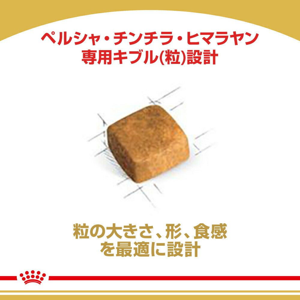 ロイヤルカナン FBN ペルシャ・チンチラ・ヒマラヤン 子猫用 生後12ヵ月齢まで 400g (猫・キャット)[正規品]
