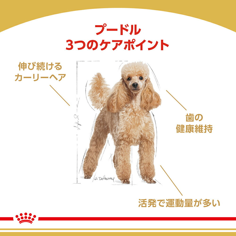 【1.5kg×6袋】ロイヤルカナン BHN プードル 中・高齢犬用 8歳以上 (犬・ドッグ)[正規品]