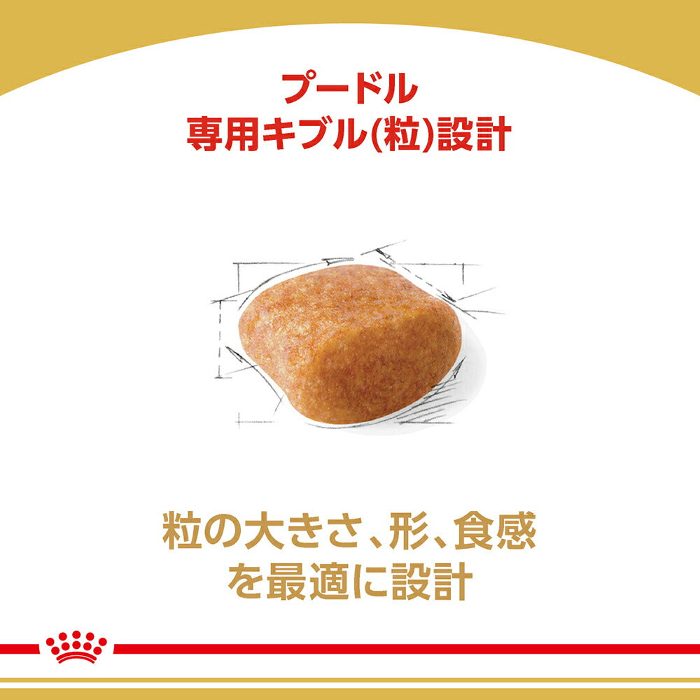 ロイヤルカナン BHN プードル 中・高齢犬用 8歳以上 800g (犬・ドッグ)[正規品]