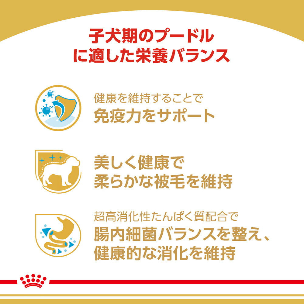 【1.5kg×3袋】ロイヤルカナン BHN プードル 子犬用 生後10ヵ月齢まで (犬・ドッグ)[正規品]