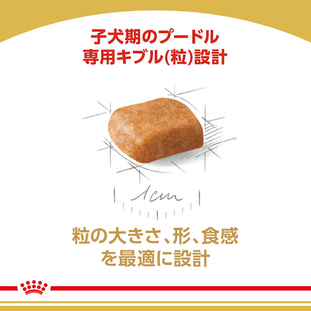 【800g×10袋】ロイヤルカナン BHN プードル 子犬用 生後10ヵ月齢まで (犬・ドッグ)[正規品]