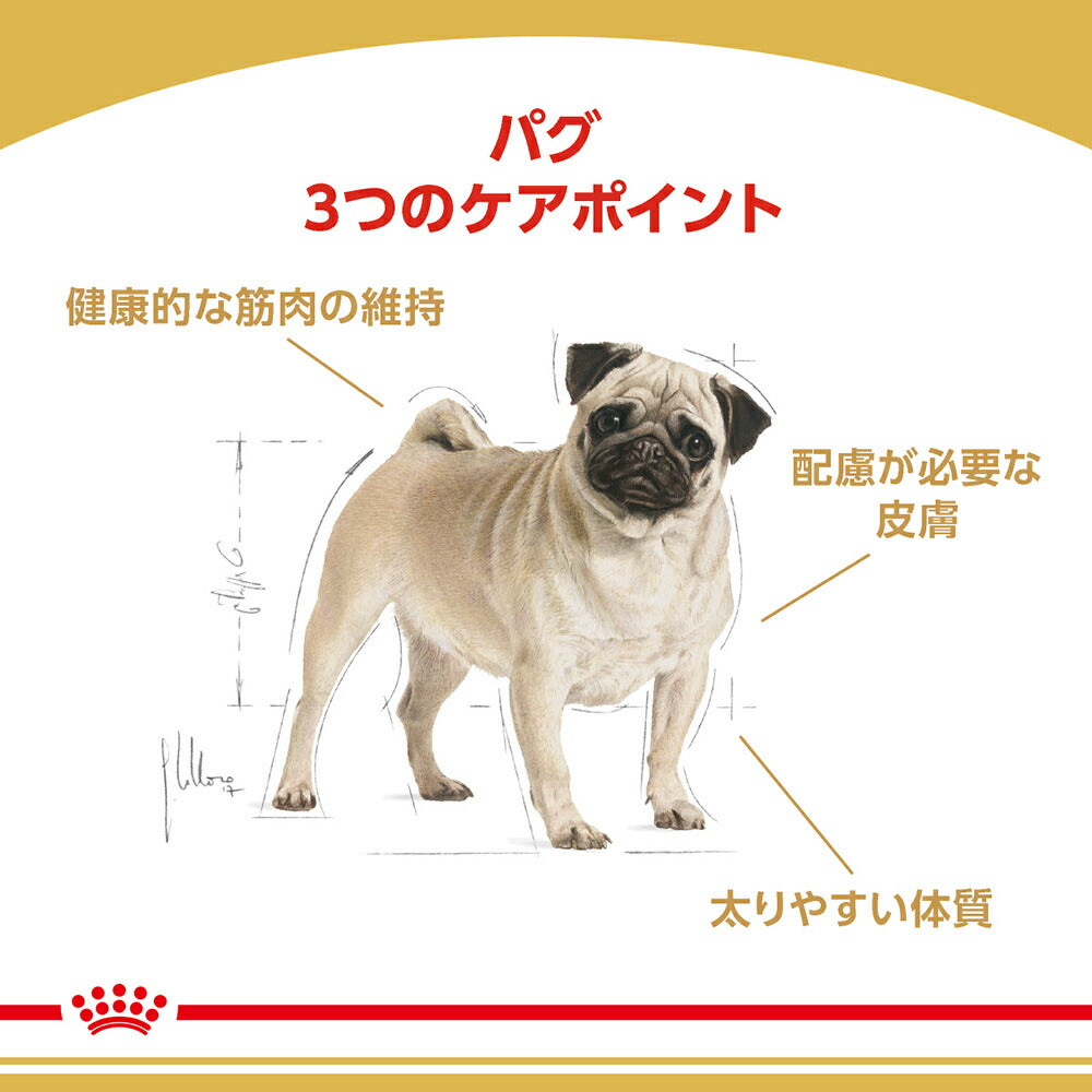 【1.5kg×5袋】ロイヤルカナン BHN パグ 成犬～高齢犬用 生後10ヵ月齢以上 (犬・ドッグ)[正規品]