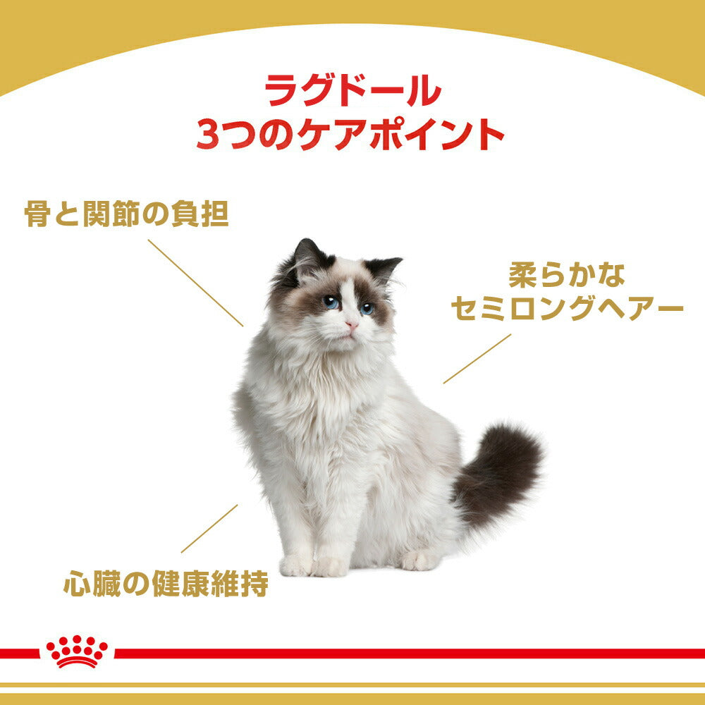 【2kg×2袋】ロイヤルカナン FBN ラグドール 成猫用 生後12ヵ月齢から12歳まで (猫・キャット)[正規品]