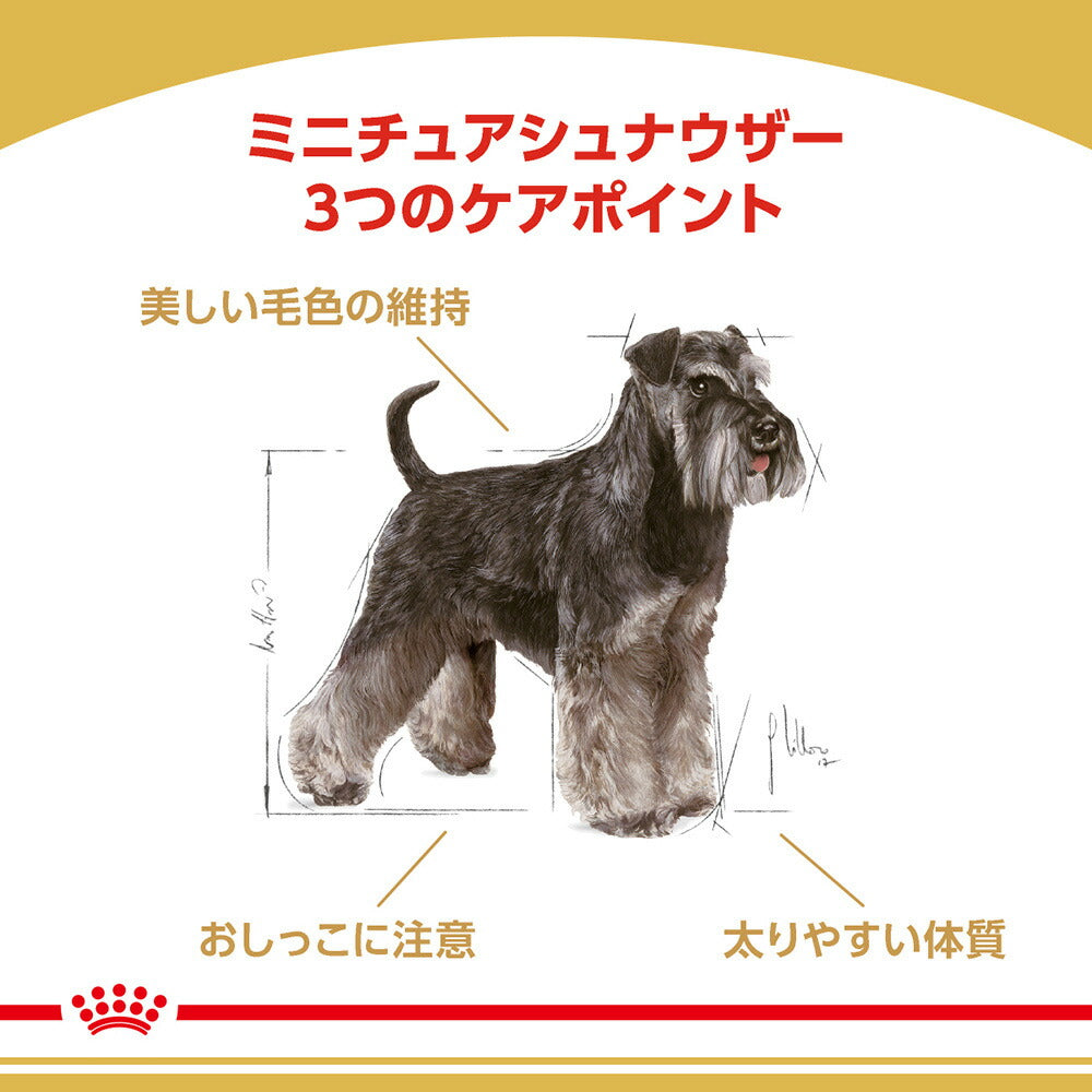 【3kg×3袋】ロイヤルカナン BHN ミニチュアシュナウザー 成犬～高齢犬用 生後10ヵ月齢以上 (犬・ドッグ)[正規品]
