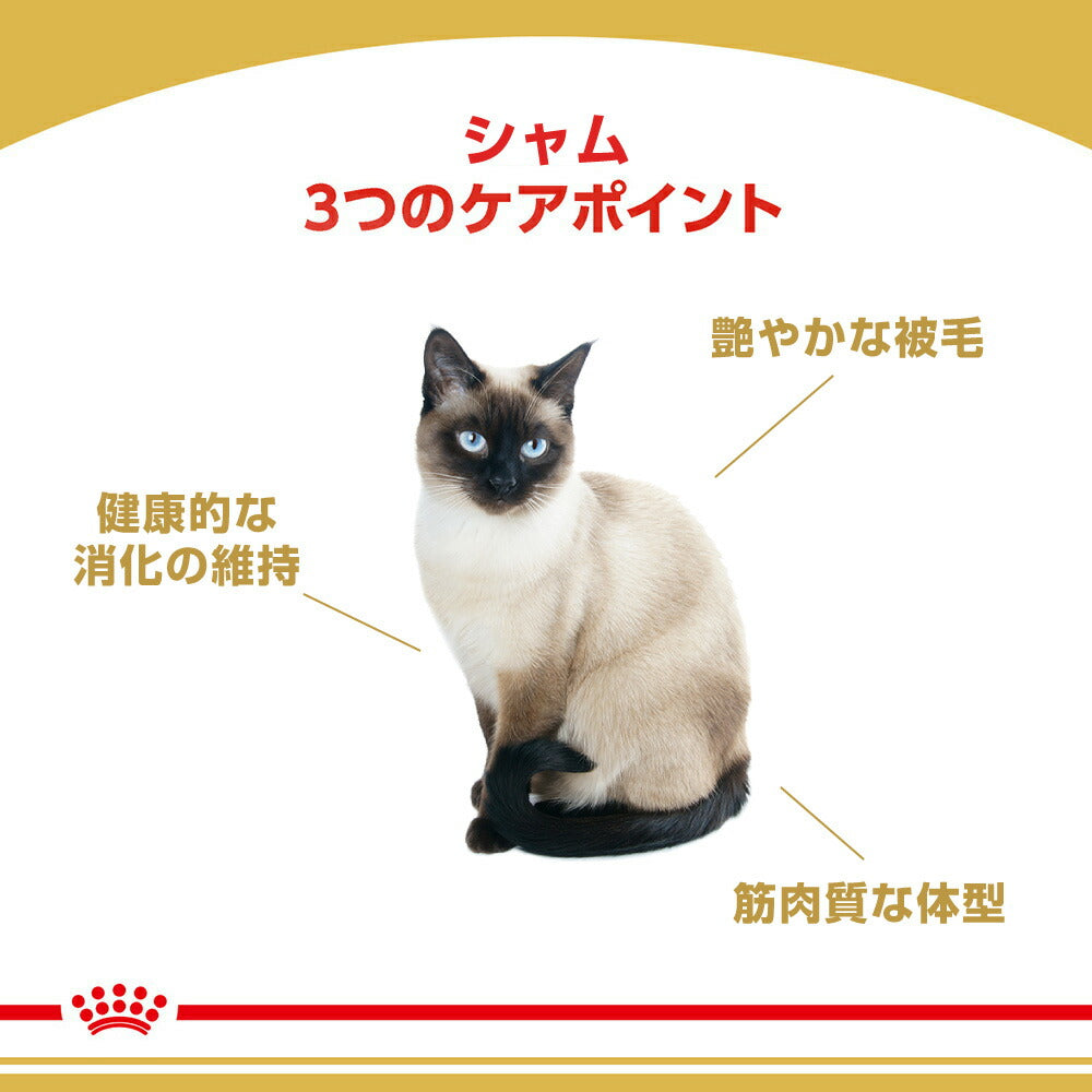 ロイヤルカナン FBN シャム 成猫用 生後12ヵ月齢から12歳まで 2kg (猫・キャット)[正規品]