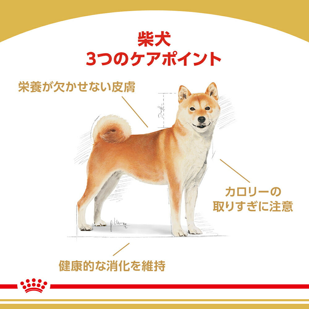 3kg×2袋】ロイヤルカナン BHN 柴犬 中・高齢犬用 8歳以上 (犬・