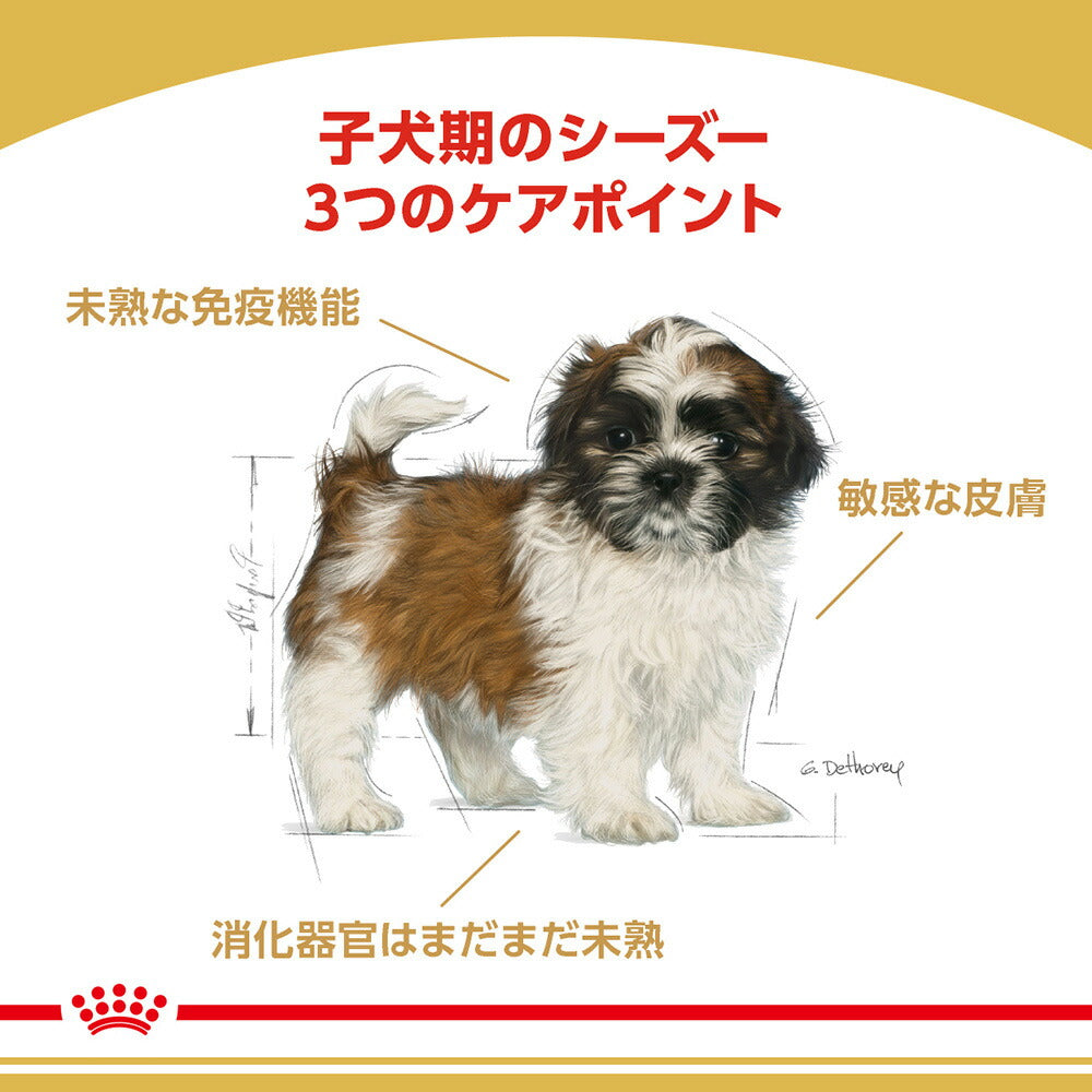 ロイヤルカナン BHN シーズー 子犬用 生後10ヵ月齢まで 1.5kg (犬・ドッグ)[正規品]