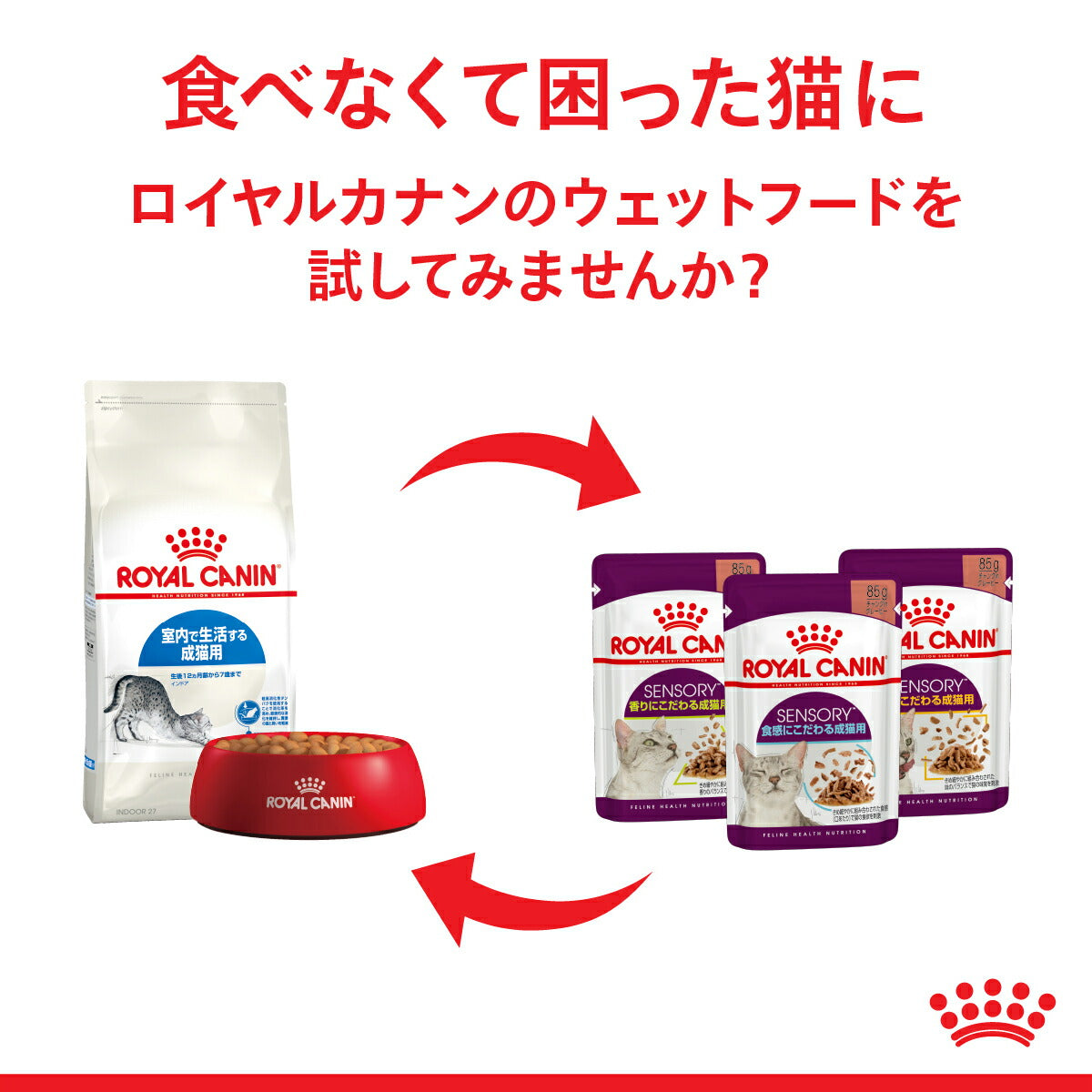 【85g×48袋】ロイヤルカナン FHN-WET センサリー スメル 香りにこだわりがある成猫用 生後12ヵ月齢以上 パウチ (猫・キャット)[正規品]