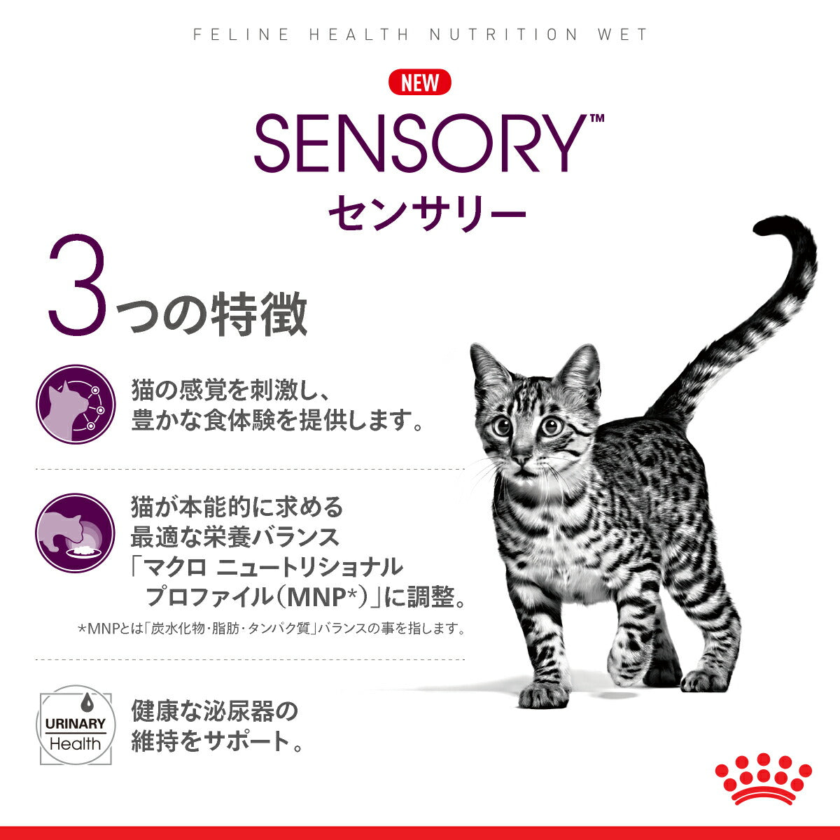 【85g×12袋】ロイヤルカナン FHN-WET センサリー テイスト 味にこだわりがある成猫用 生後12ヵ月齢以上 パウチ (猫・キャット)[正規品]