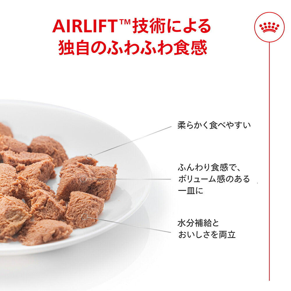 85g×6缶】ロイヤルカナン FCN-WET アペタイト コントロール ウルトラ
